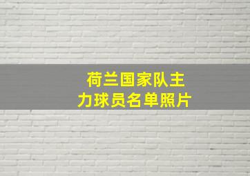 荷兰国家队主力球员名单照片