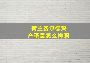 荷兰费尔德鸡产蛋量怎么样啊