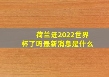 荷兰进2022世界杯了吗最新消息是什么