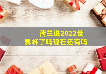 荷兰进2022世界杯了吗现在还有吗