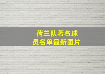 荷兰队著名球员名单最新图片