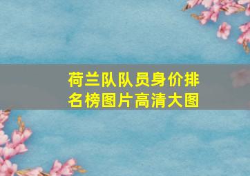 荷兰队队员身价排名榜图片高清大图