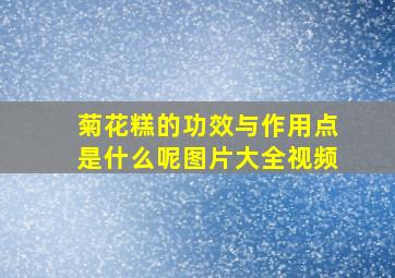 菊花糕的功效与作用点是什么呢图片大全视频