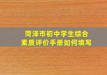 菏泽市初中学生综合素质评价手册如何填写