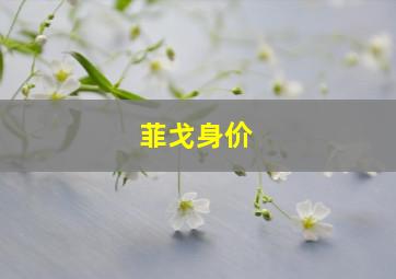 菲戈身价