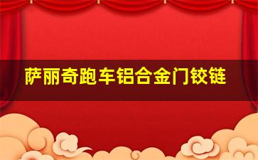 萨丽奇跑车铝合金门铰链