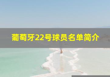 葡萄牙22号球员名单简介