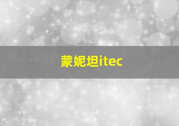 蒙妮坦itec