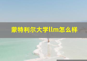 蒙特利尔大学llm怎么样