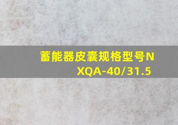 蓄能器皮囊规格型号NXQA-40/31.5