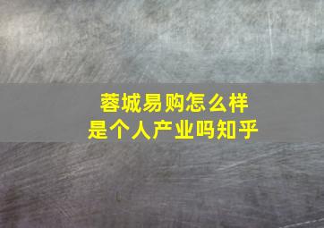 蓉城易购怎么样是个人产业吗知乎