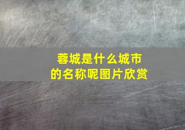 蓉城是什么城市的名称呢图片欣赏