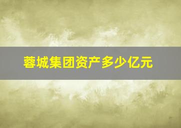 蓉城集团资产多少亿元