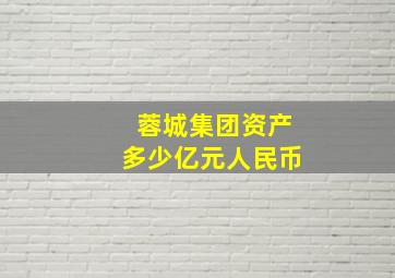 蓉城集团资产多少亿元人民币