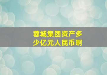 蓉城集团资产多少亿元人民币啊