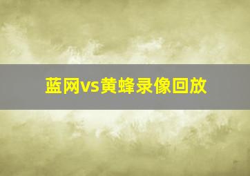 蓝网vs黄蜂录像回放