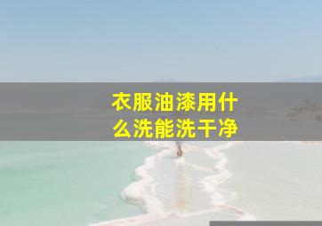 衣服油漆用什么洗能洗干净