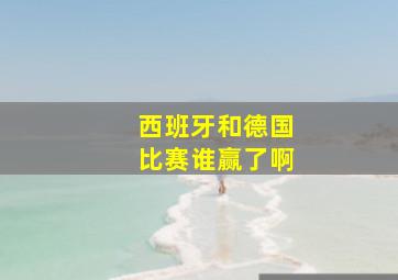 西班牙和德国比赛谁赢了啊