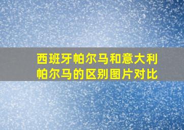 西班牙帕尔马和意大利帕尔马的区别图片对比