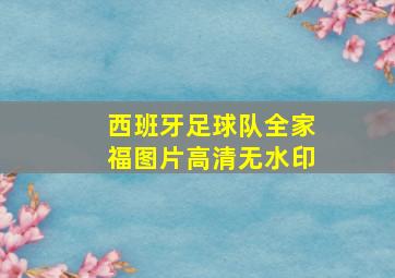 西班牙足球队全家福图片高清无水印