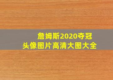 詹姆斯2020夺冠头像图片高清大图大全