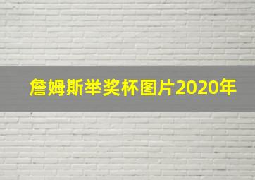 詹姆斯举奖杯图片2020年