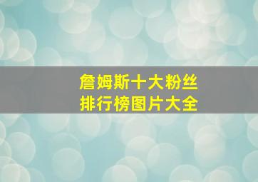 詹姆斯十大粉丝排行榜图片大全