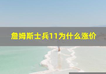 詹姆斯士兵11为什么涨价