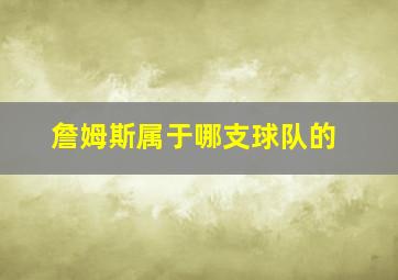 詹姆斯属于哪支球队的