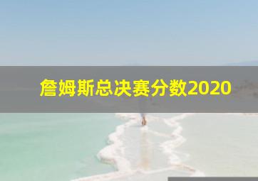 詹姆斯总决赛分数2020