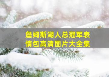 詹姆斯湖人总冠军表情包高清图片大全集