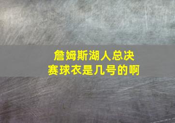 詹姆斯湖人总决赛球衣是几号的啊