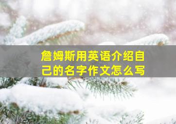 詹姆斯用英语介绍自己的名字作文怎么写