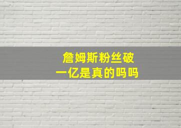 詹姆斯粉丝破一亿是真的吗吗