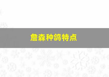 詹森种鸽特点