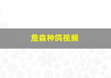 詹森种鸽视频