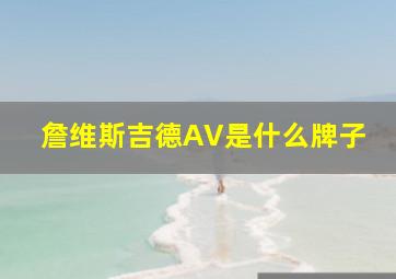 詹维斯吉德AV是什么牌子