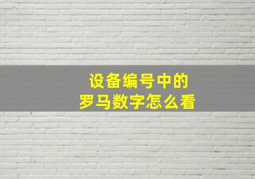 设备编号中的罗马数字怎么看