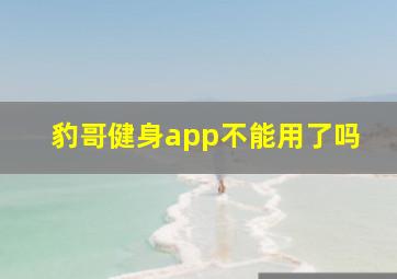 豹哥健身app不能用了吗