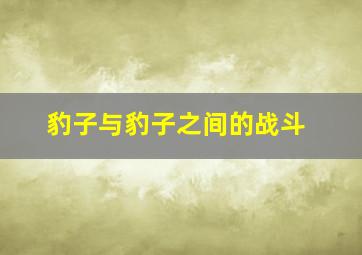 豹子与豹子之间的战斗