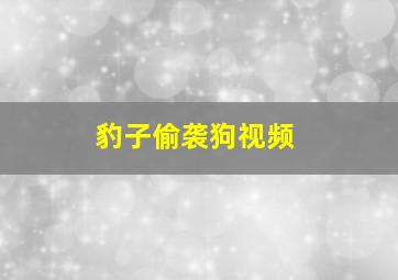 豹子偷袭狗视频