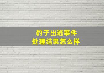 豹子出逃事件处理结果怎么样