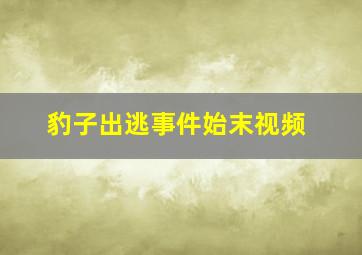 豹子出逃事件始末视频