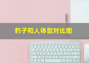 豹子和人体型对比图