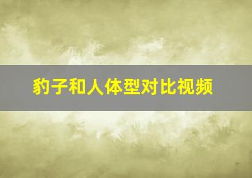 豹子和人体型对比视频