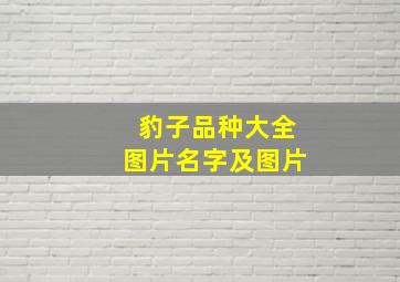 豹子品种大全图片名字及图片