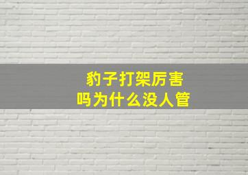 豹子打架厉害吗为什么没人管