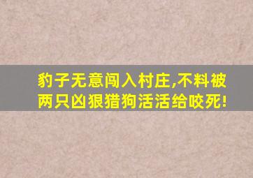 豹子无意闯入村庄,不料被两只凶狠猎狗活活给咬死!