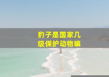 豹子是国家几级保护动物嘛