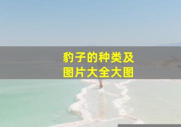 豹子的种类及图片大全大图